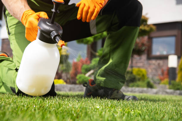 Best Mosquito Control Services  in Buda, TX