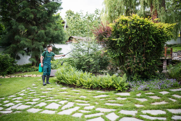 Best Wildlife Control Services  in Buda, TX