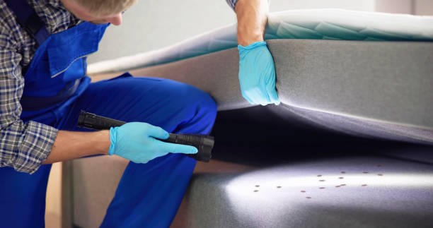 Best Pest Control Near Me  in Buda, TX