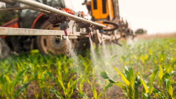 Pest Prevention Services in Buda, TX