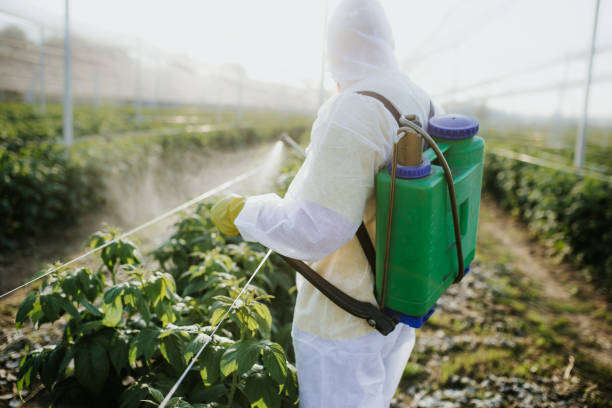 Best Pest Control Treatment  in Buda, TX
